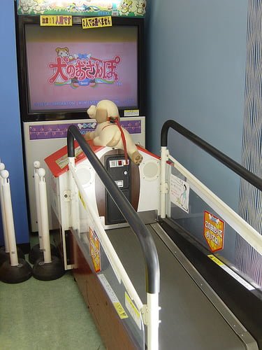 Arcade pasear perro