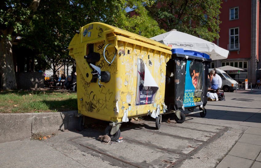 El mundo pequeño y secreto de la comida basura