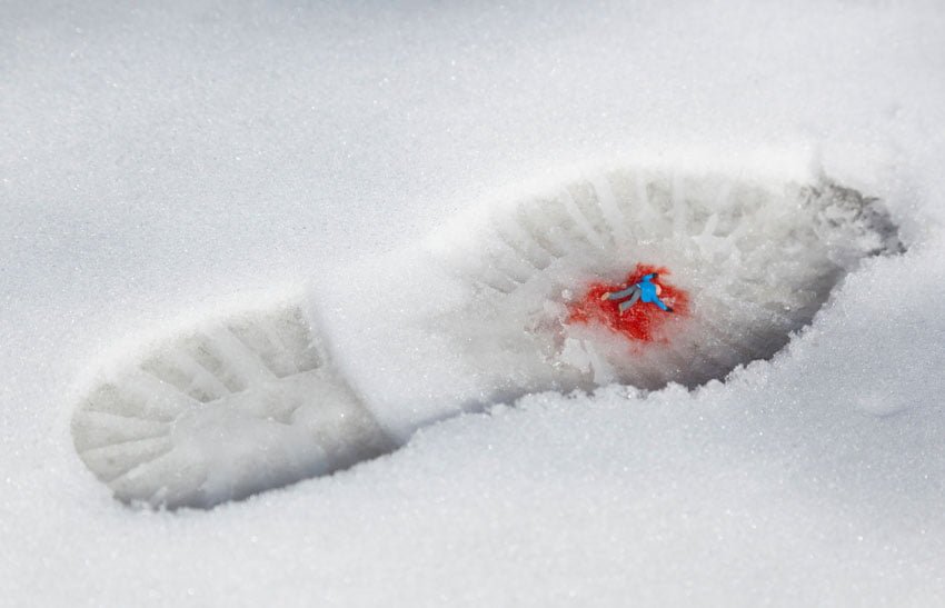 Asesinato en una huella helada