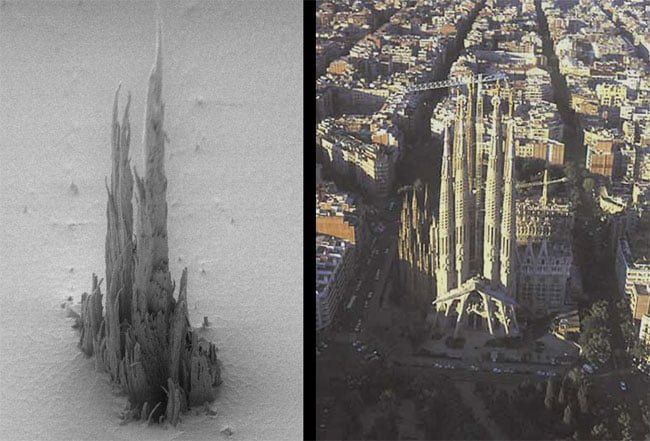 Micrografia