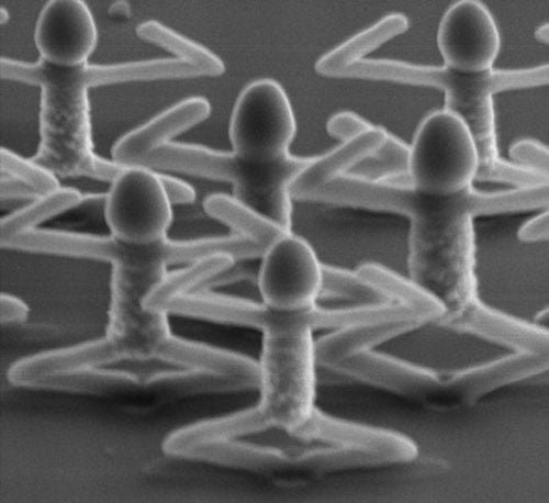 Micrografia