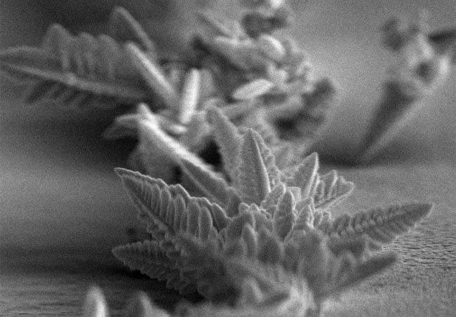 Micrografia