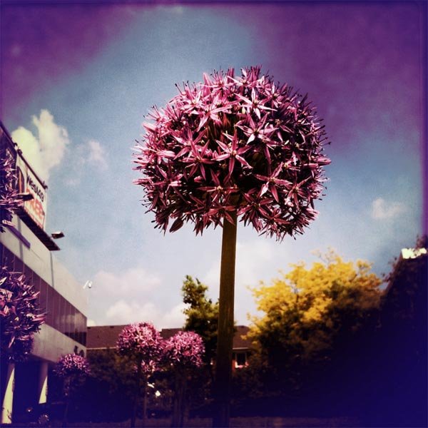 Foto tomada con Hipstamatic, por kimb0lene