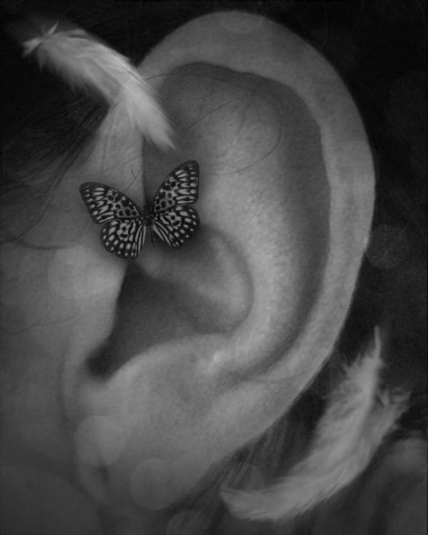 oreja